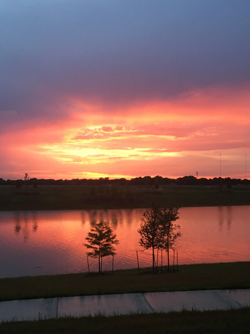 Sunset Rosharon, Texas, US
