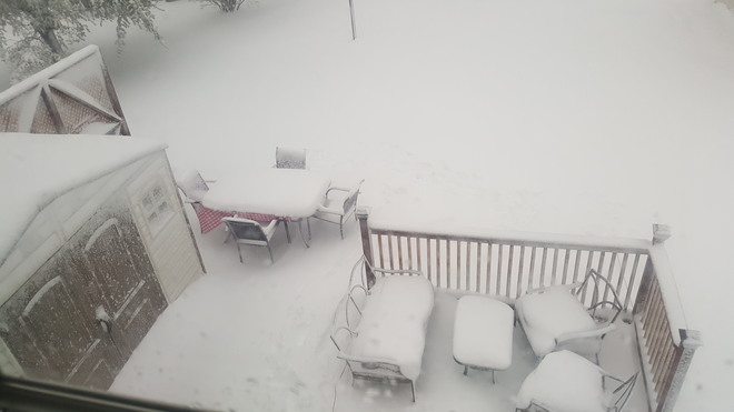 Snow Day Gambo, NL
