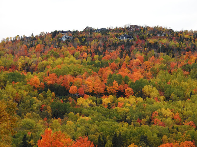 Les coloris d'automne dans Charlevoix. Matane, QC