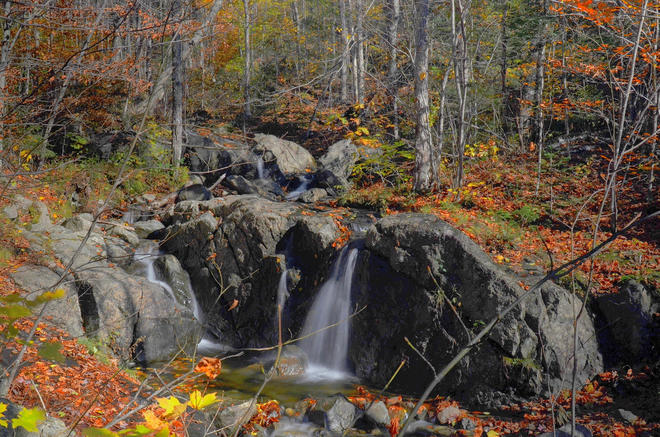 couleurs d'automne Sentier Le Ruisseau-des-Chênes, 1266 QC-112, Austin, QC J0B 1B0, Canada