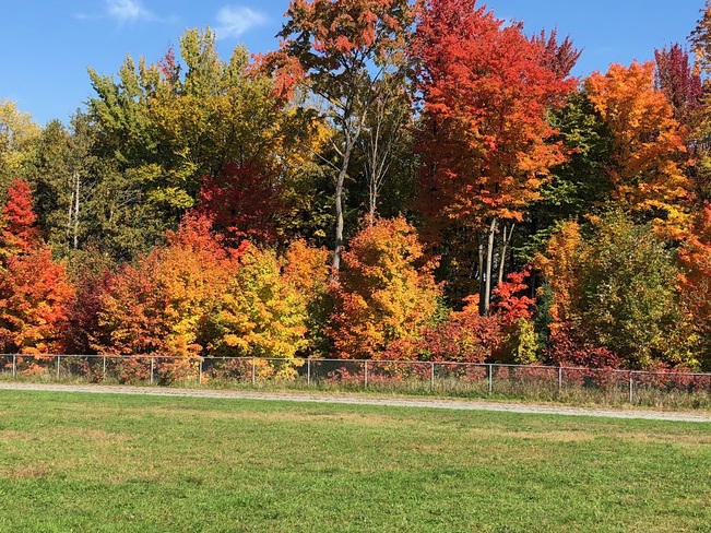 fall color Pembroke, ON