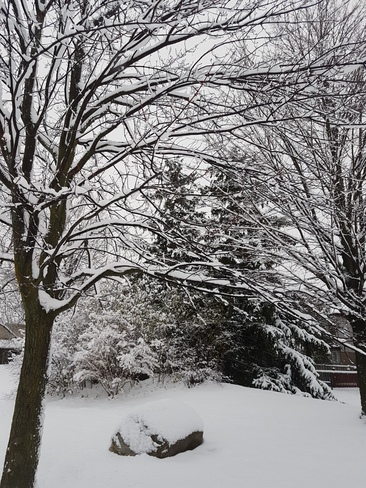 A glimpse of winter Brampton, ON