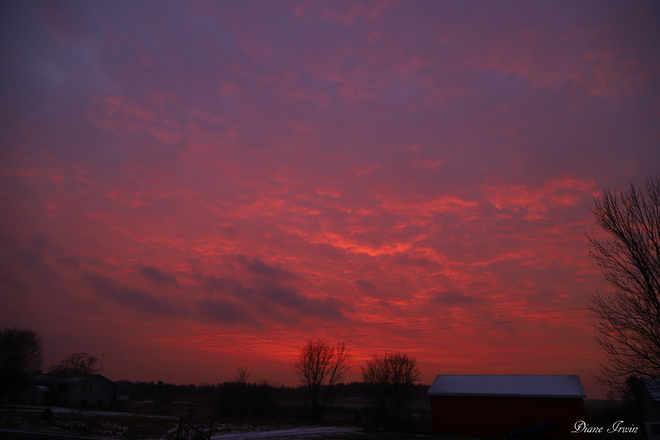Pink Sky Morning Greater Napanee,ON