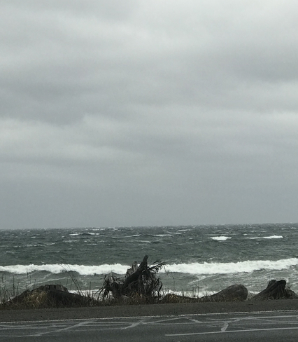 Wind and rain on and off all week with more to come. Campbell River, British Columbia, CA