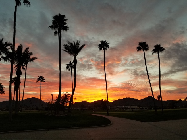 Arizona Sunset Scottsdale, AZ