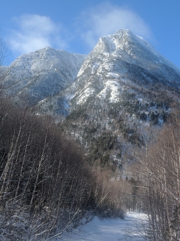 Mont Nicol Albert Réserve faunique de Matane, QC
