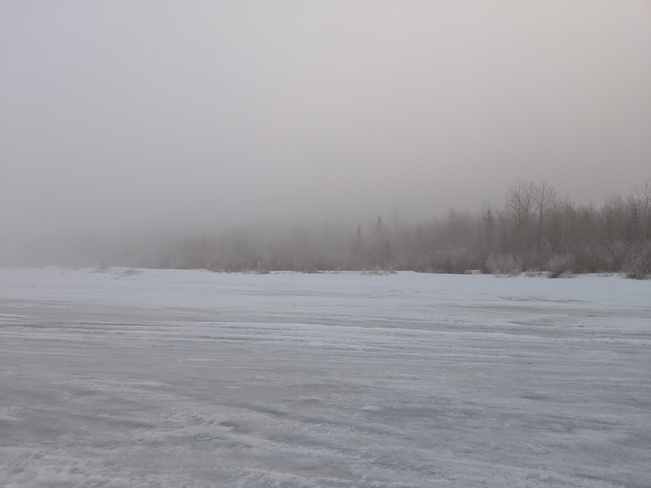 Foggy Morning Gull Lake, AB