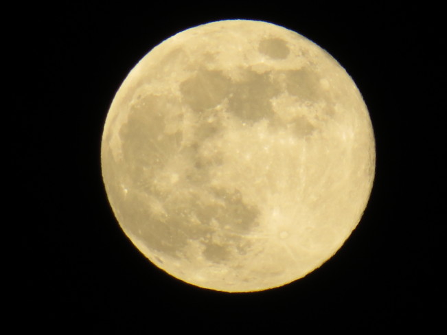 Full moon. Bridgewater, NS