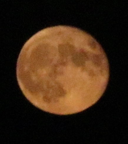 Spooky orange Full Moon Kingston, ON