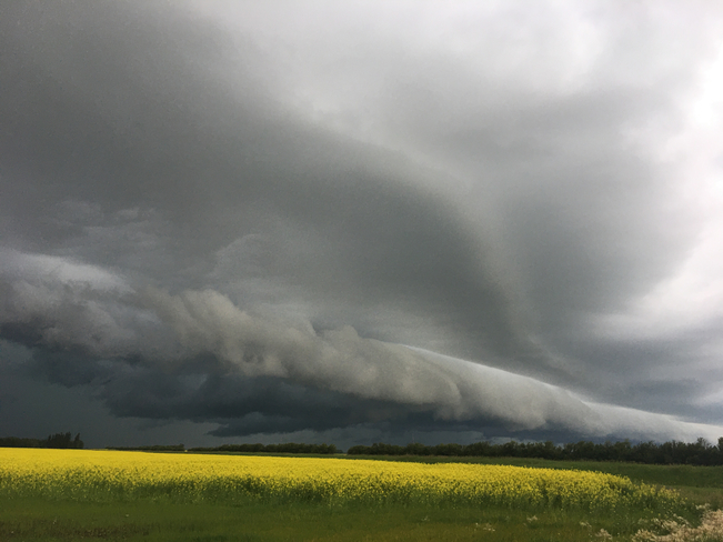 Summer storm In Naicam Naicam, Saskatchewan | S0K 2Z0