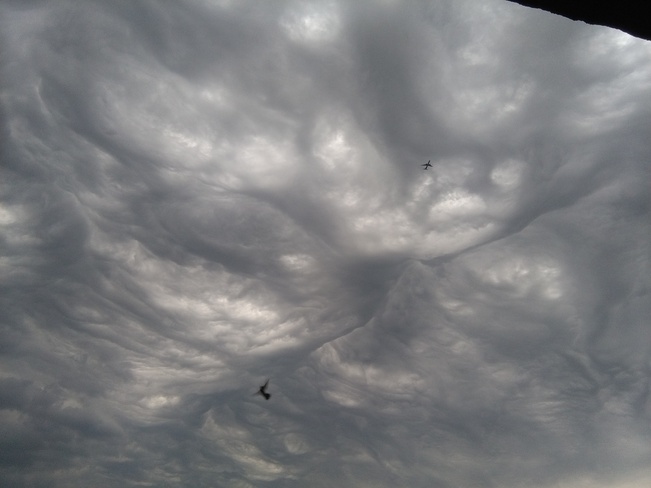 Braided Storm Clouds Hampton Green Stop # 5983, Markham, ON L3P 7N7, Canada
