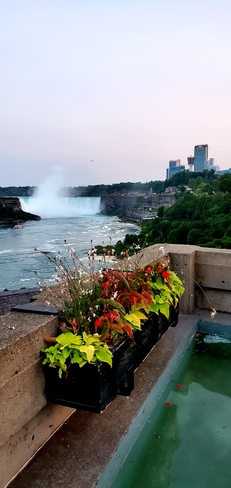 De belles chutes Niagara Falls, ON