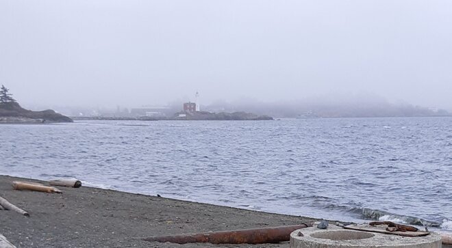 wind and mist Esquimalt Lagoon Victoria BC