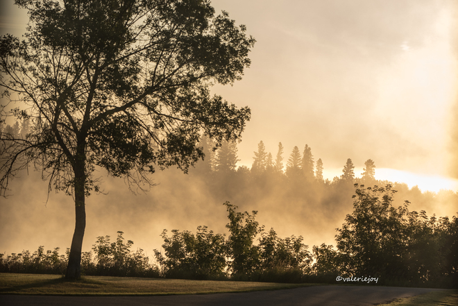 Morning Mist Prince Albert, Saskatchewan