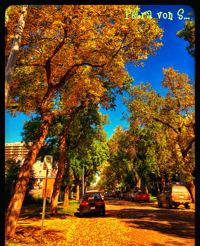 Beautiful Autumn Edmonton, Alberta, CA