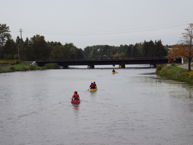 canoeing on the mcintyre river 1171 Waterford St, Thunder Bay, ON P7B 5R1, Canada