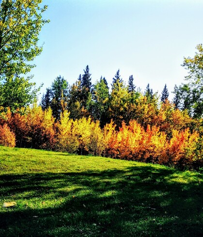 Gotta love Autumn Hudson Bay, SK