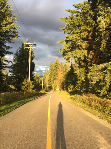 Sunny day start of Autumn 2019. Procter, British Columbia | V0G 1V0