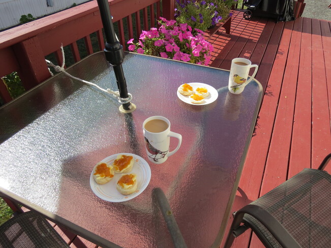 Snack on our Deck Bridgewater, NS