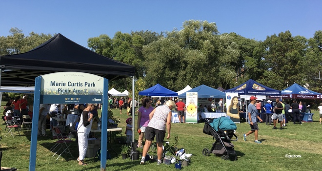 A festival for trees in Toronto on this steamy hot Sept. 22 day Marie Curtis Park, Forty Second Street, Etobicoke, ON
