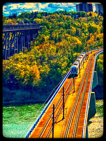 There goes the LRT Train, over the vibrantly gorgeous River Valley Edmonton, Alberta, CA
