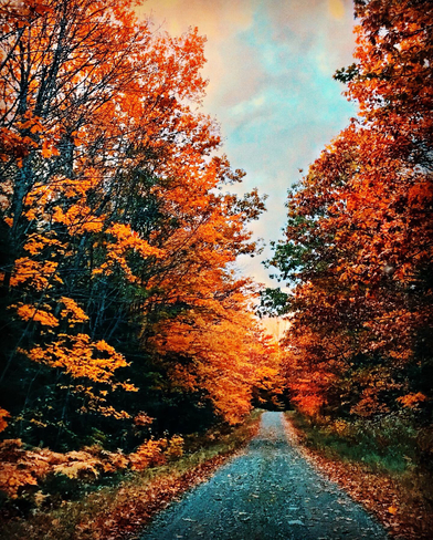 Autumn colours Bruce Mines, Ontario, CA