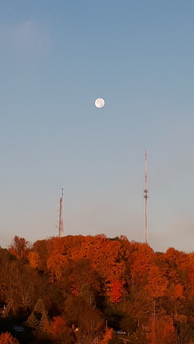 Autumn moon at sunrise Peterborough, ON
