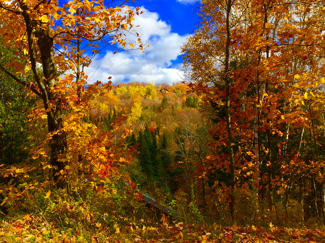 Fall in the Laurentian Saint-Adolphe-d'Howard, Quebec | J8C 2Z7