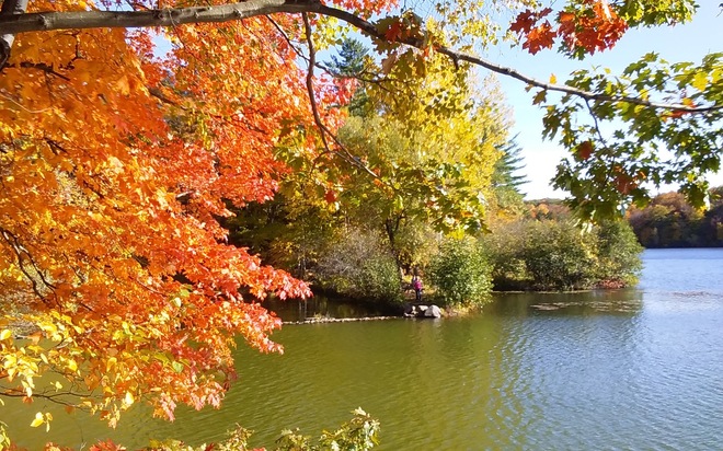 Les couleurs de l'automne Parc national du Mont-Saint-Bruno, Rang des Vingt Cinq Est, Saint-Bruno-de-Montarville, QC