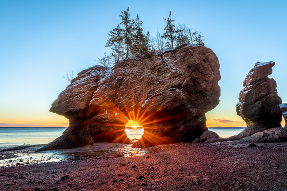The Face of the Hopewell Rocks