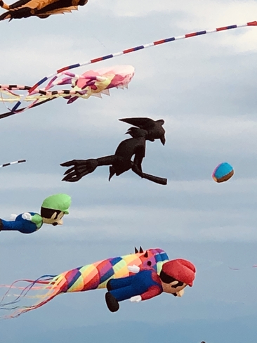 Kite Flying Display Victoria, British Columbia, CA