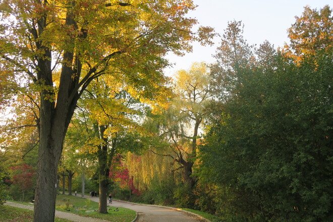 Beautiful Autumn Colours London, Ontario