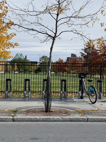 Vélo Montréal, Québec, CA