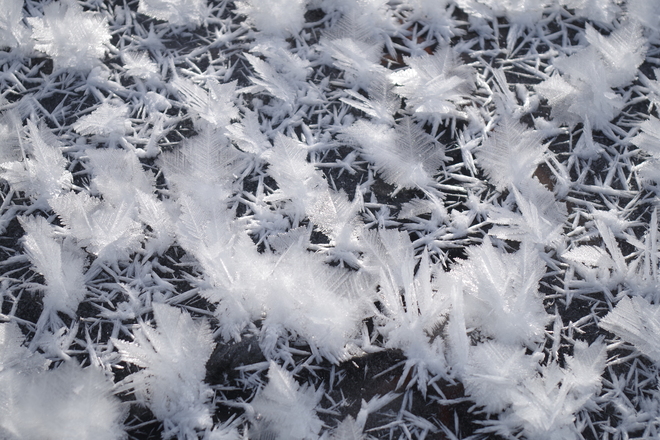 Large Ice Crystals on Frozen Lake Wabamun Lake, Parkland County, AB