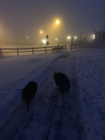 Fog Walk Fort McMurray, AB