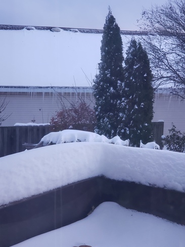 First "big" snowfall of winter 2019/2020; November 2019 St. Catharines, ON