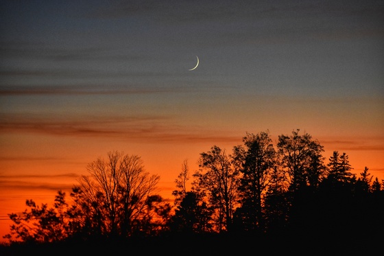 The new moon in the twilight