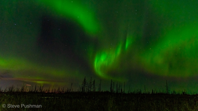 Aurora Borealis dancing the night away Fort McMurray, Alberta, CA