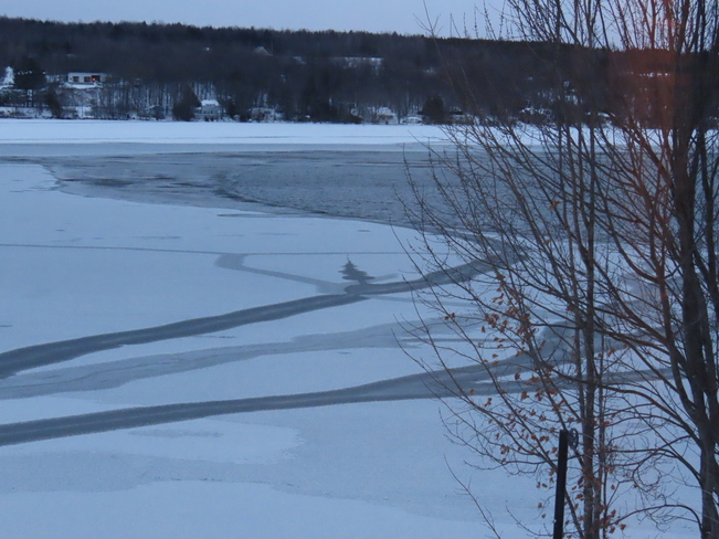 Un sapin sur le lac. Lac Magog, Québec