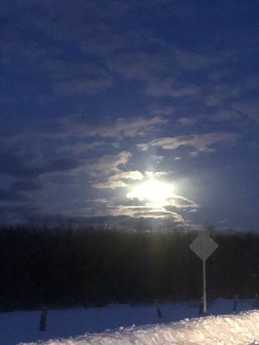 Wolf Moon in northeastern ontario Holtyre, ON