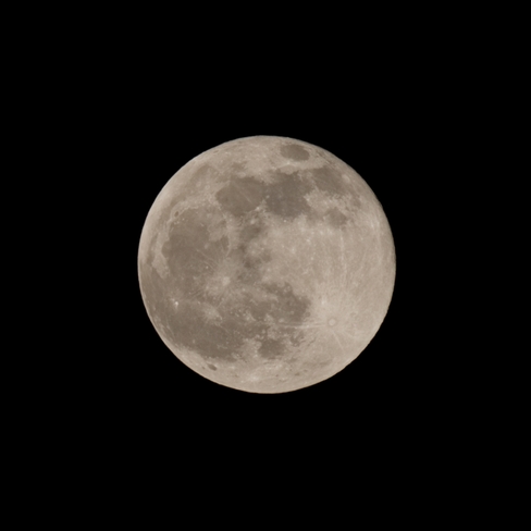 Wolf Moon Winnipeg, Manitoba, CA