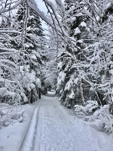 Le sentier de neige Trois-Pistoles, Québec, CA