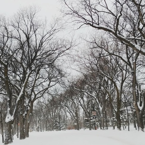 kildonen park wintertime Winnipeg, MB