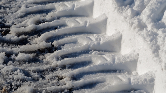 Tracks in the snow Scarborough, Toronto, ON
