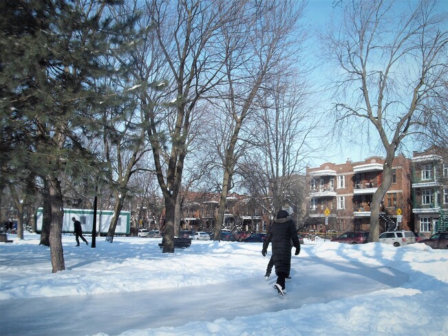 On patine à Montréal Parc Molson, Rosemont—La Petite-Patrie, Montréal, QC
