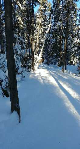 Taken on the Trails In south Porcupine South Porcupine, Porcupine, Timmins, ON