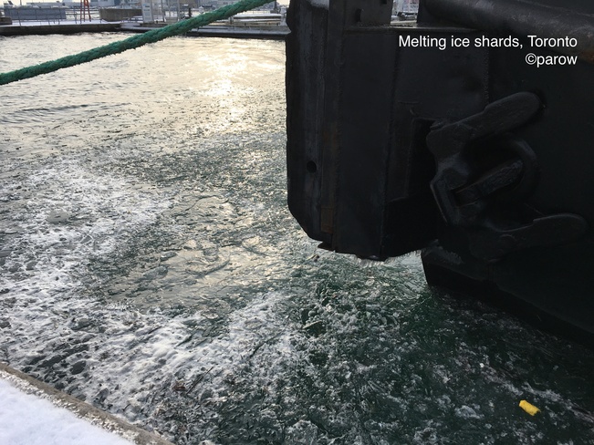 Tinkling sounds of melting ice in Lake Ontario 345 Queens Quay W, Toronto, ON M5V 1A2, Canada