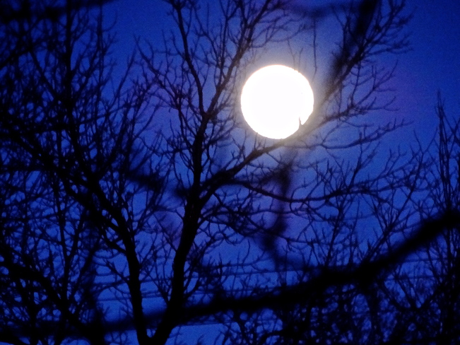 Pleine lune dans la nuit! Boucherville, QC
