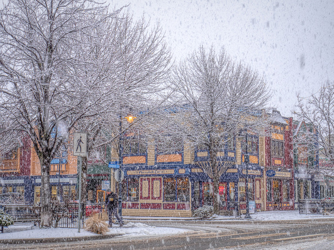 A Blustery Snow Day Kelowna, BC