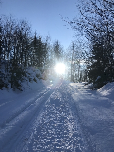 Snow road to Sun Algoma, Unorganized, North Part, Ontario, CA